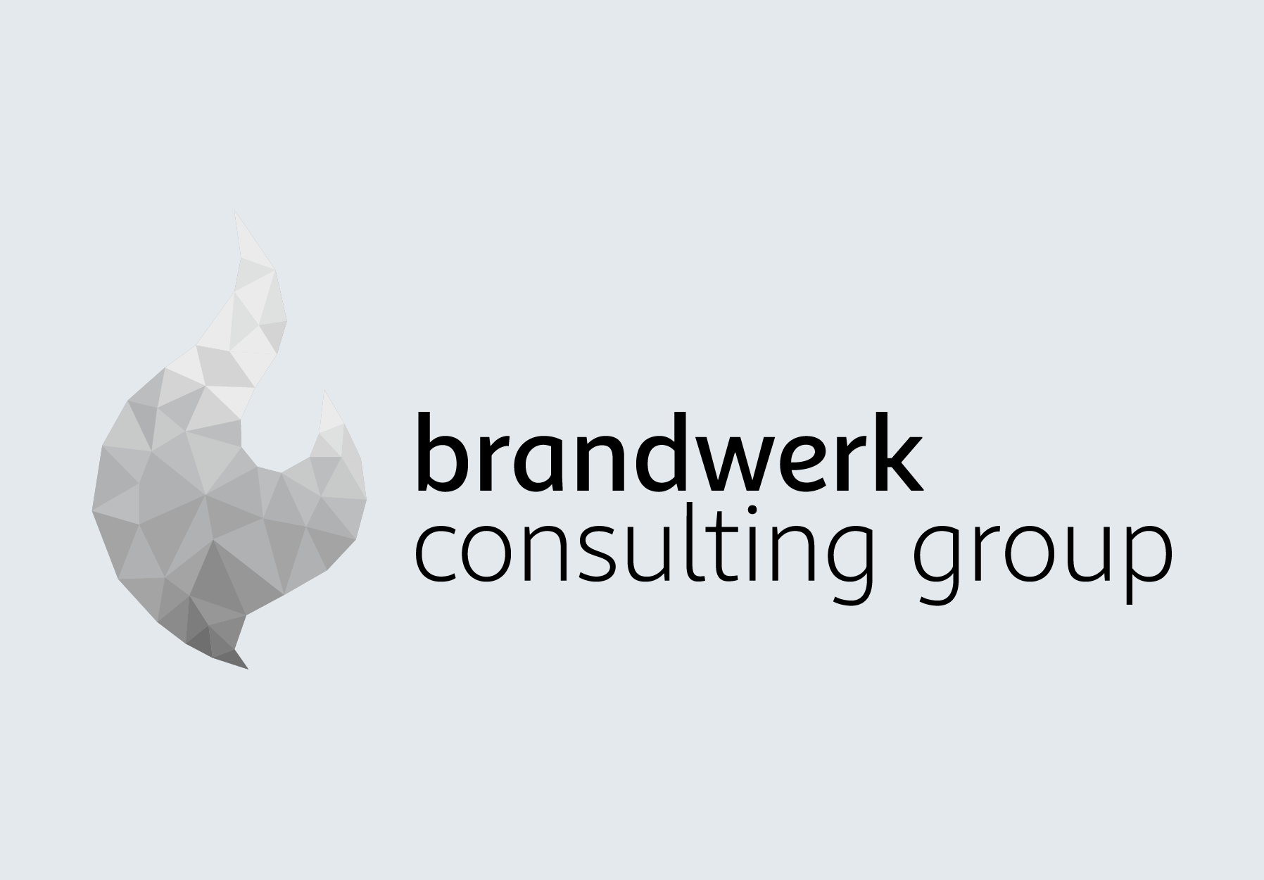 brandwerk consulting group